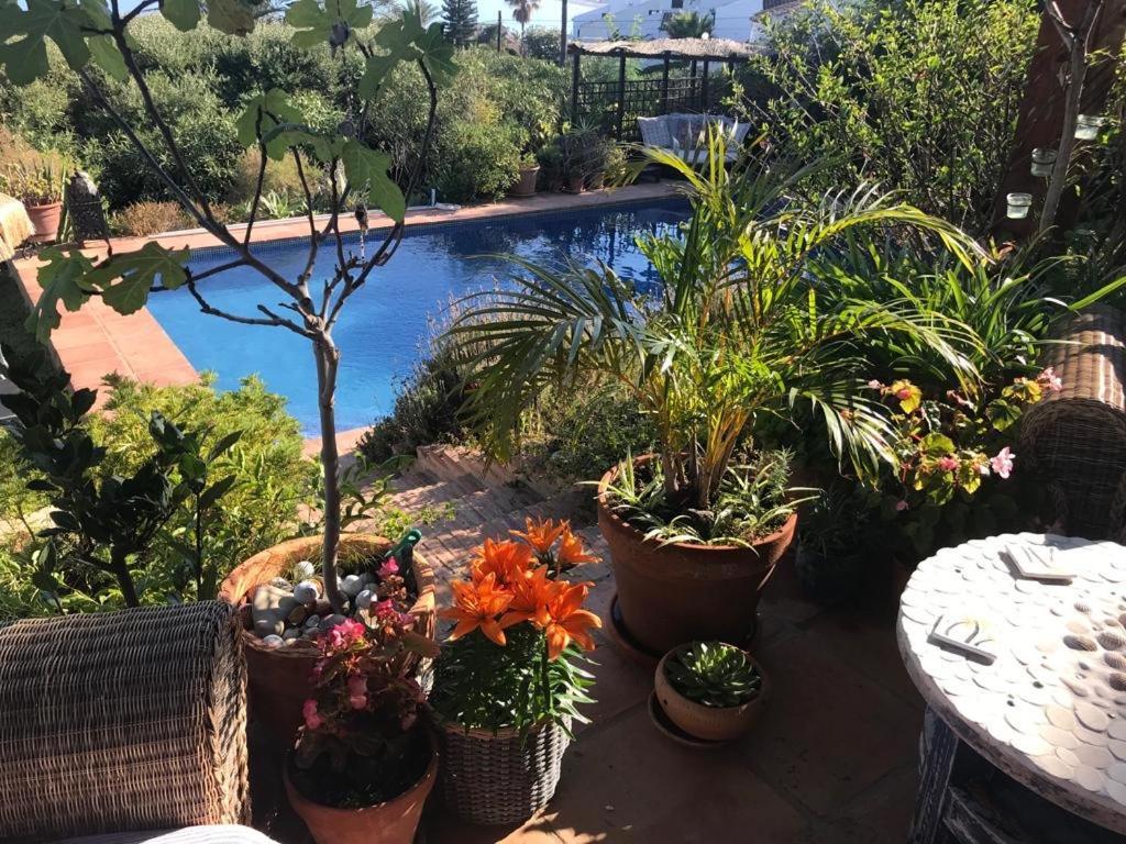 Casa Bahia De Casares Bed & Breakfast Екстериор снимка